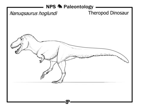 Theropod Dinosaur (Nanuqsaurus Hoglundi) Coloring Page